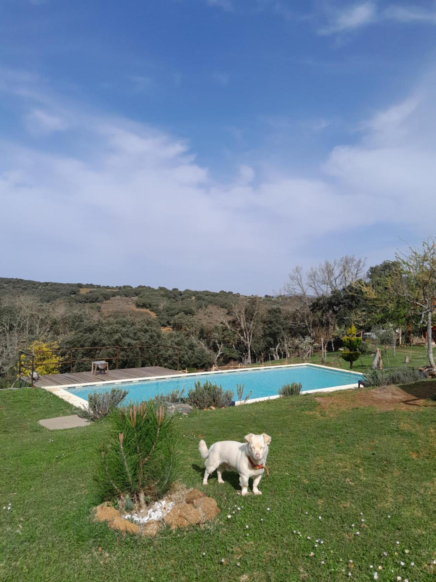 Appartement Quinta Da Devesa B1 à Vinhais Extérieur photo
